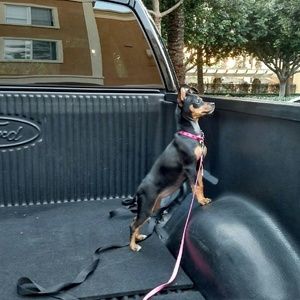 Meet your Posher, Renee